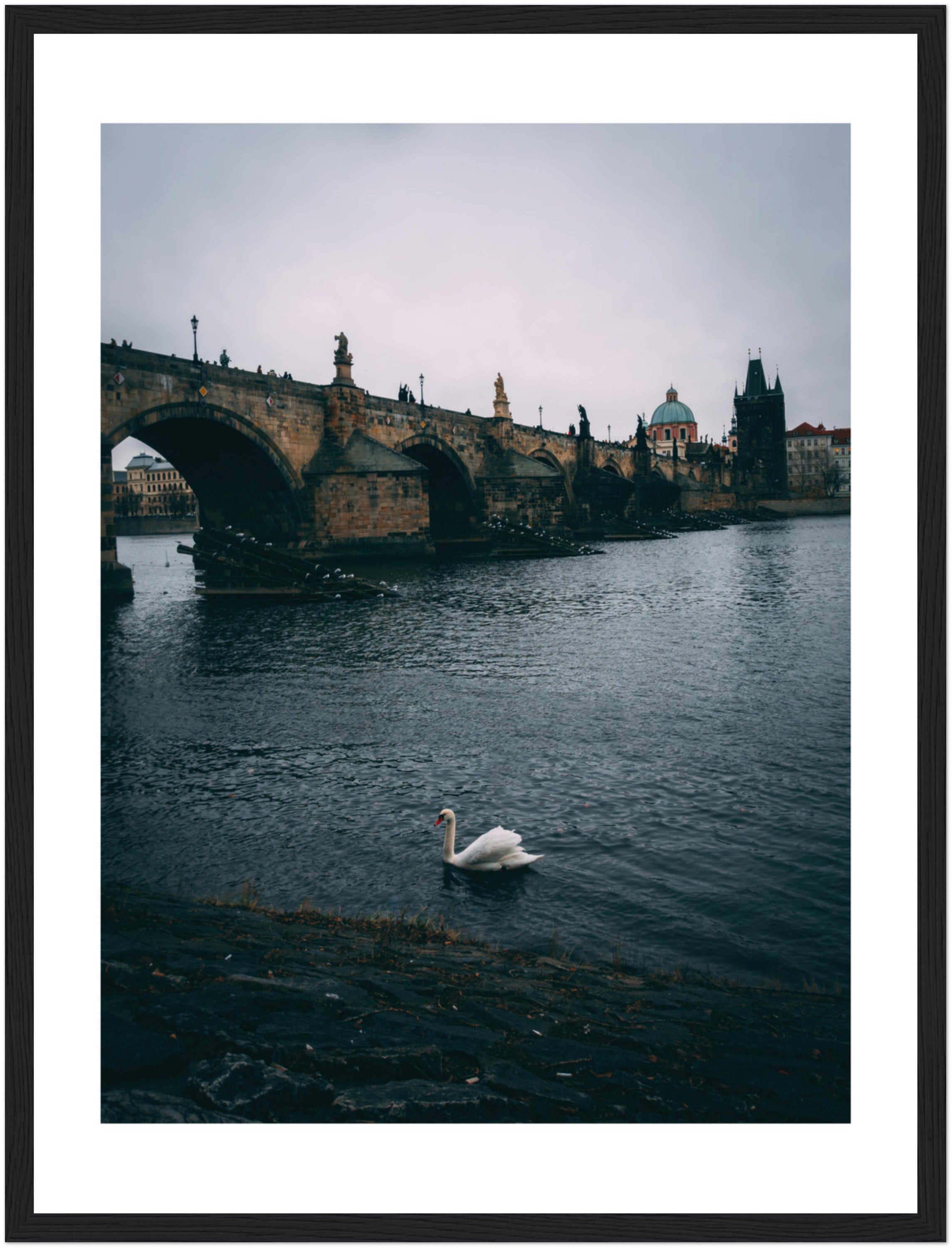 Glide with the Swan: The Majestic Charles Bridge of Prague | Poster